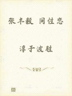 张丰毅 同性恋